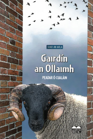 Gáirdín an Ollaimh (Sráid an Iarla - Book 2)