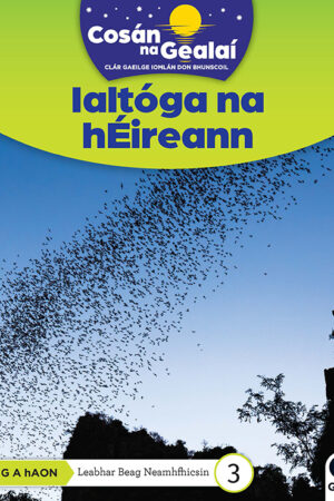 Cosán na Gealaí (Rang 1) – Leabhar 3 Neamhfhicsean – Ialtóga na hÉireann (1st Class)